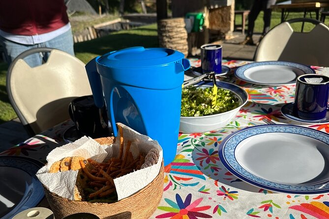 Mexico City: Xochimilco at sunrise + Breakfast and transportation - Why this is a different Xochimilco morning