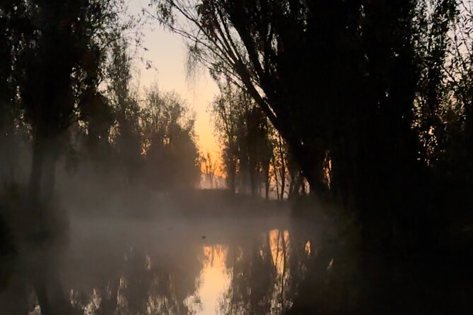 Mexico City: Xochimilco at sunrise + Breakfast and transportation - Breakfast harvested that morning