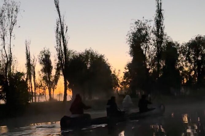 Mexico City: Xochimilco at sunrise + Breakfast and transportation - Planting and the return through daylight