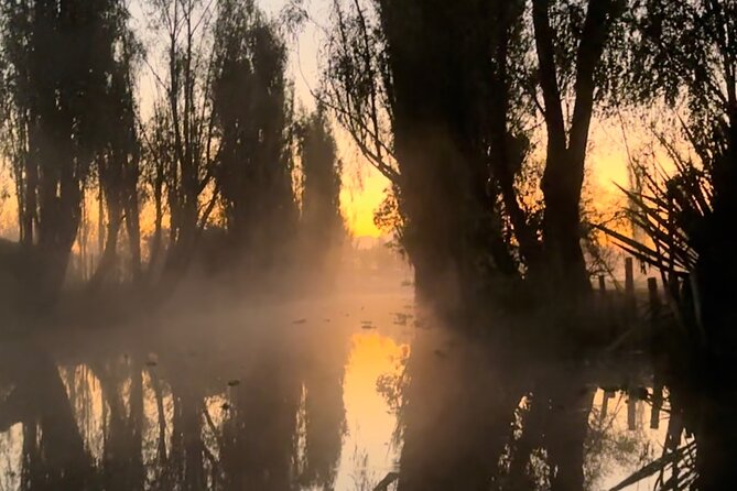 Mexico City: Xochimilco at sunrise + Breakfast and transportation - What the $173.25 price includes in value