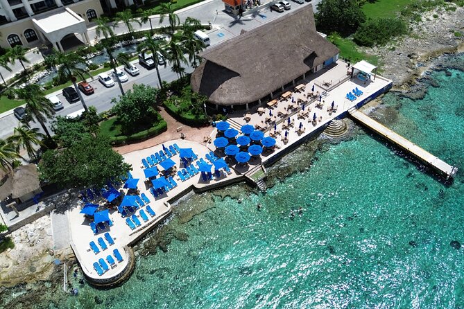 Money Bar Day Pass with Snorkel & Mexican Lunch - What happens at The Money Bar