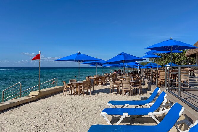 Money Bar Day Pass with Snorkel & Mexican Lunch - Lunch choices that keep the day simple