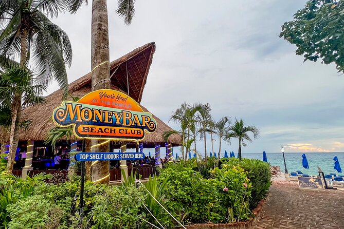 Money Bar Day Pass with Snorkel & Mexican Lunch - Who will get the most from this experience