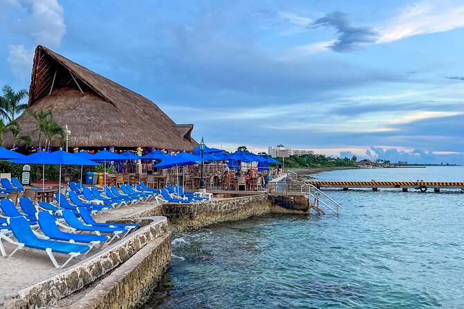 Money Bar Day Pass with Snorkel & Mexican Lunch - Is the Money Bar Day Pass worth booking?
