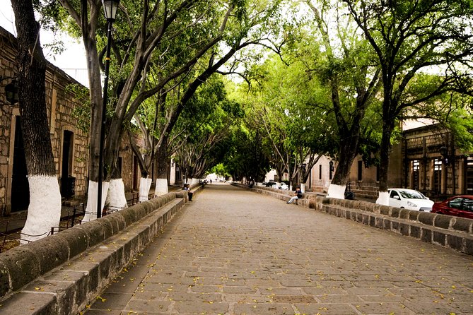 Morelia City Tour - The aqueduct and Tarascas Fountain