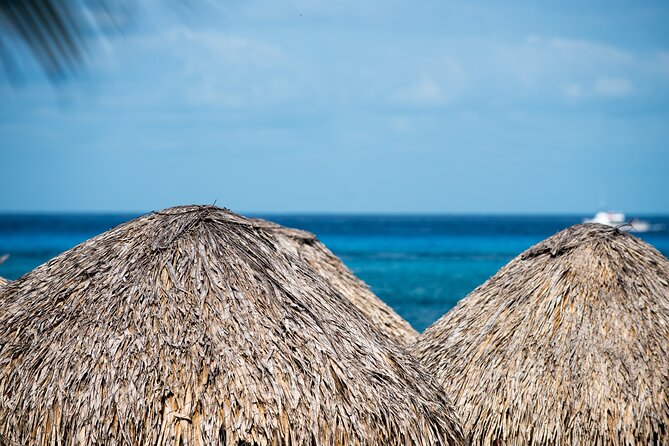 Mr. Sanchos Beach Club All-Inclusive Day Pass - What the $79 price really covers