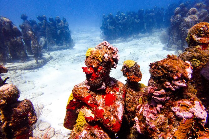 MUSA Museum and Colorful Reef 2 Tank Dive-Certified Divers - Manchones Reef brings the natural focus