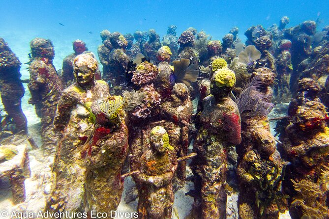 MUSA Museum and Colorful Reef 2 Tank Dive-Certified Divers - Marine life without the pressure of a rushed schedule