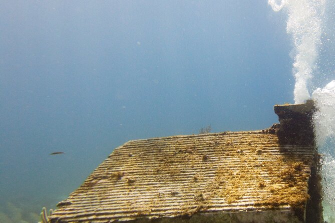 MUSA Museum and Colorful Reef 2 Tank Dive-Certified Divers - Is the $100 price good value?