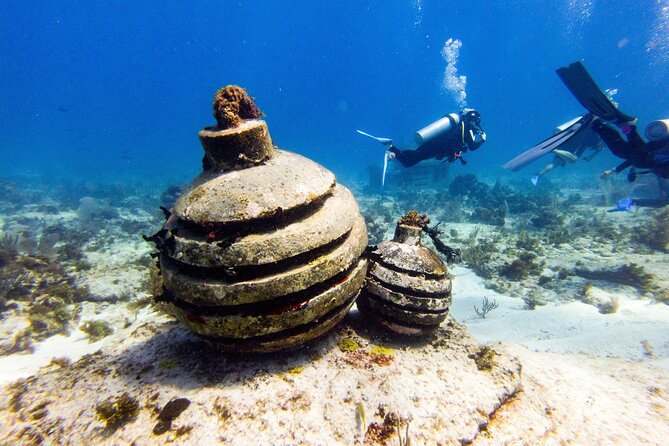 MUSA Museum and Colorful Reef 2 Tank Dive-Certified Divers - What the short boat ride means for your day