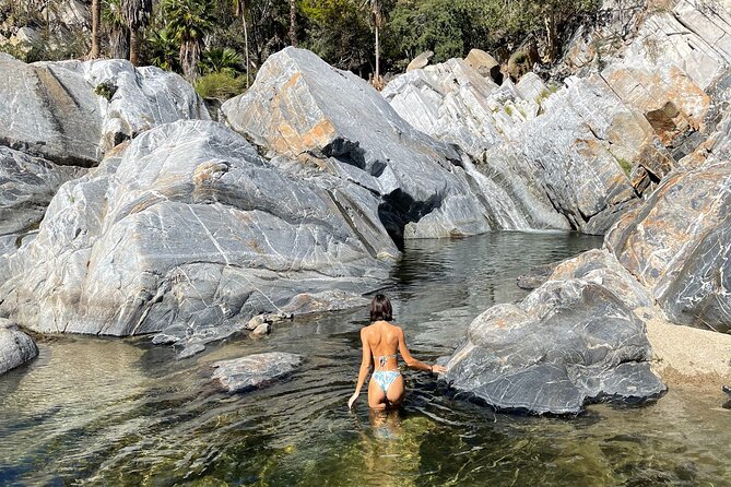 Natural Hot Springs Experience - Choosing between a waterfall walk and a longer hike