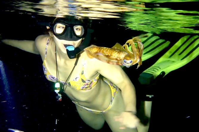Night Snorkeling - Observation of octopus and other species - The first minutes: gear, instructions, and confidence