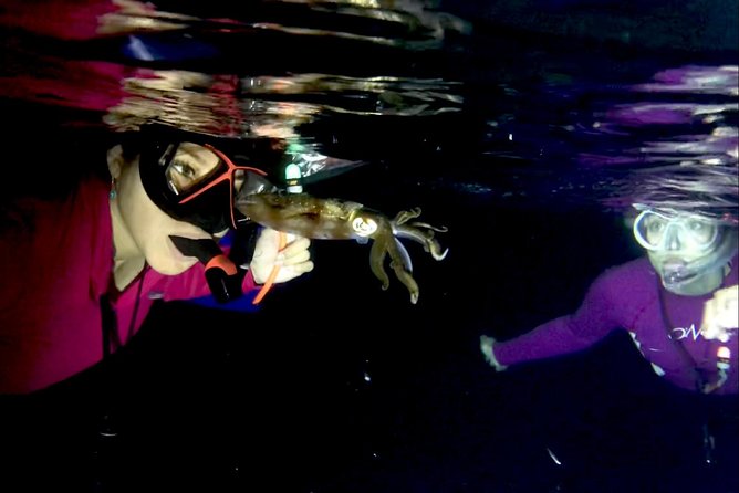 Night Snorkeling - Observation of octopus and other species - What you might see under the lamps