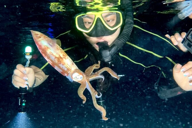 Night Snorkeling - Observation of octopus and other species - Meeting at Money Bar Beach Club at 7:30 pm