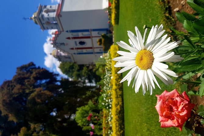 Oaxaca Conmigo Private Tours - The Tule Tree is a quick, easy addition