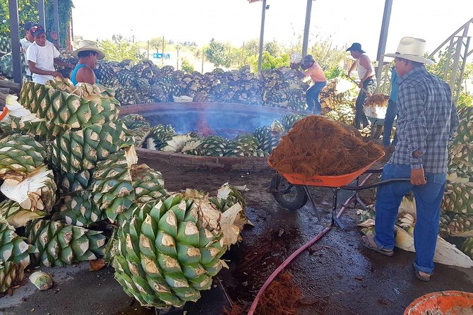 Oaxaca Conmigo Private Tours - Mezcal routes range from old methods to modern distilleries