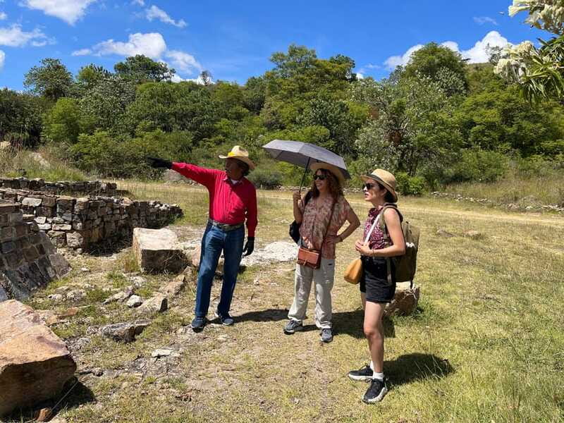 Oaxaca de Juarez: Monte Alban Half-Day Tour - Zapotec culture, carved stones, and ancient tombs