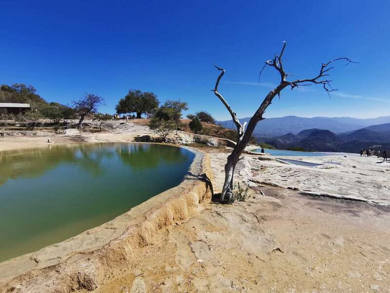 Oaxaca: Full Day Guided Tour on the Hierve el Agua Route - Mezcal from agave to tasting glass