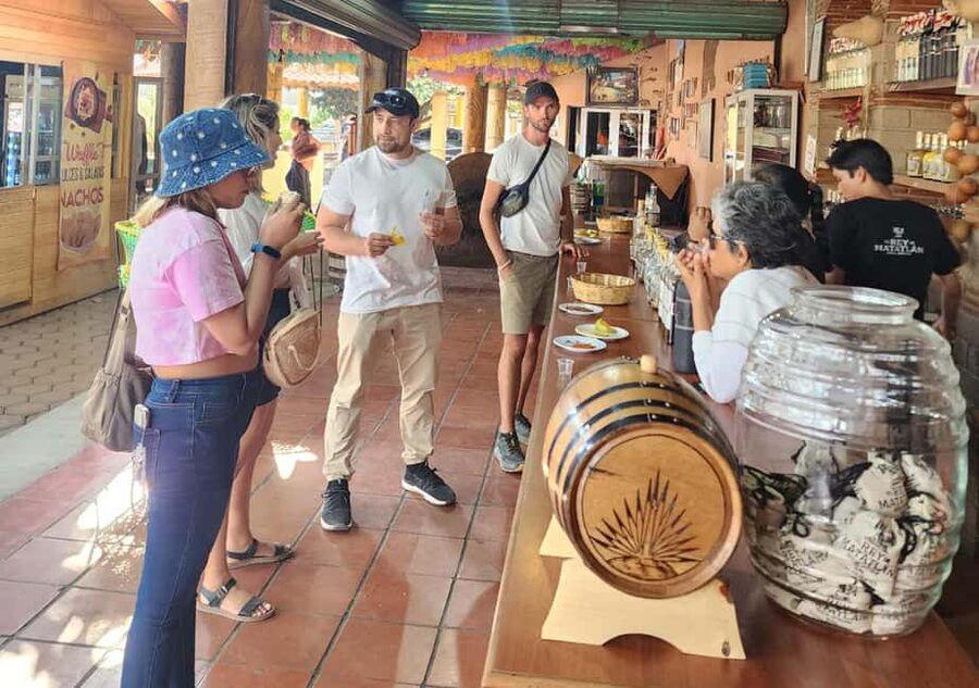 Oaxaca: Tule, Mitla & Hierve el Agua, & Mezcal Tour - Tule Tree: a short stop with a huge trunk
