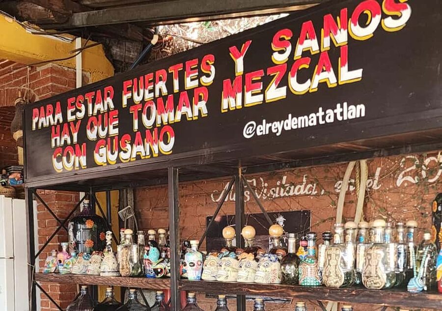 Oaxaca: Tule, Mitla & Hierve el Agua, & Mezcal Tour - Should you book it?