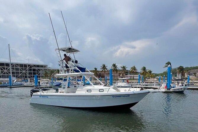 Ocean Eco Adventure with Marine Biologist Guides - Cruising the seven bays on the return