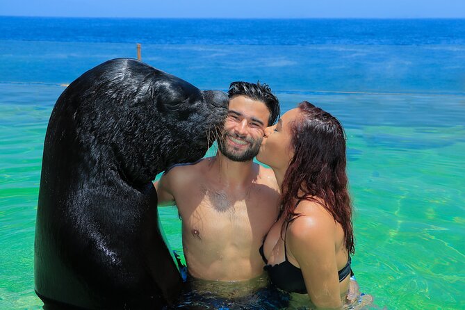 Ocean Mania & water park experience in Puerto Vallarta - Water slides, the ocean zip line, and Step-Up