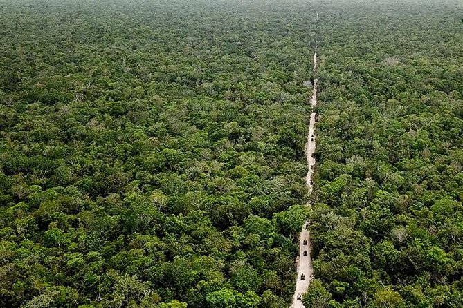 Off Road ATV Tour at the Akumal Monkey Rescued Animals Sanctuary - Hotel pickup, timing, and the fine print