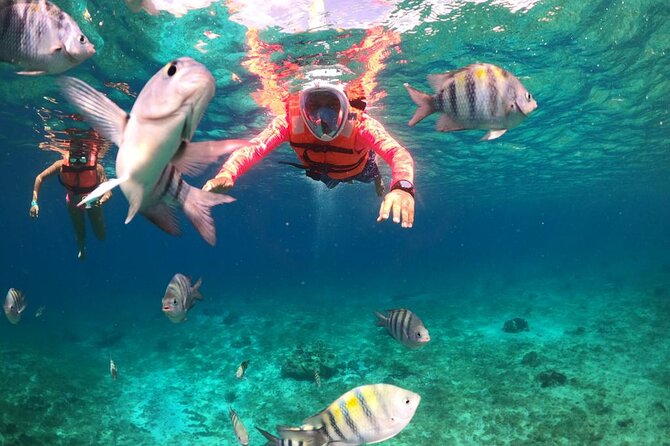 Official Chankanaab Park Day pass and Snorkel with Lunch included - The park pass and its extra attractions