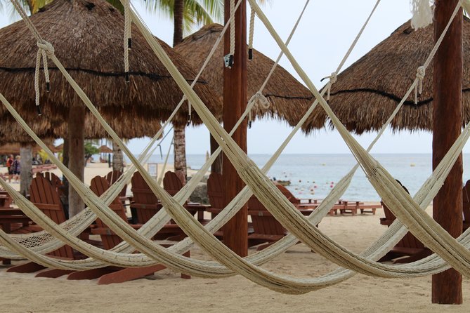 Official Chankanaab Park Day pass and Snorkel with Lunch included - Who will get the most from this package