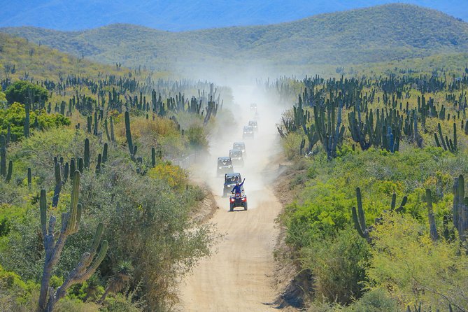 OffRoad 4X4 UTV Adventure with unlimited Lunch & Tequila - Canyons, Cactus, and Coastal Dirt Trails