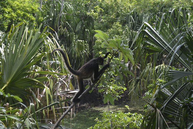 One Day Tour to Chacchoben Mayan City and Bacalar Lagoon with a Certified Guide - What the $119 price really covers