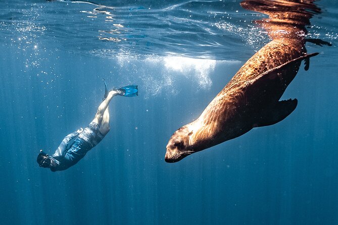 Open Ocean Safari and Whale Watching - El Arco gives the morning a classic Cabo start
