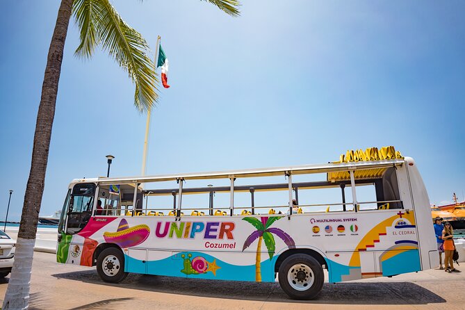 Open Top City Tour & Beach Break - How the $59 price holds up