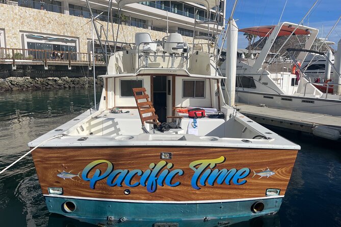 Pacifictime Sports Fishing in Cabos san lucas - Whales, dolphins, sea lions, and the Cabo coastline