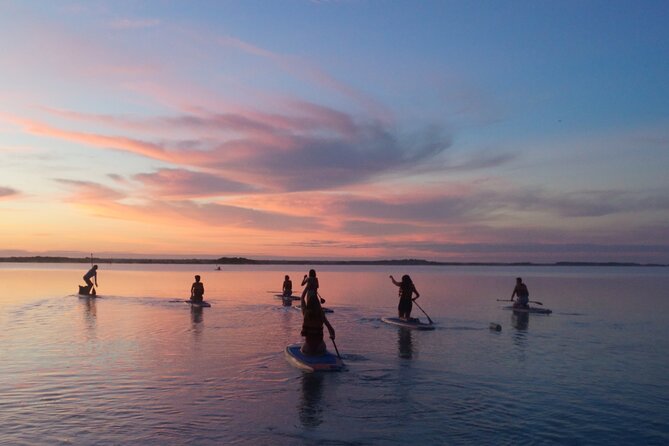 Paddle at Dawn with visit to Cenotes and Islands - Bird sanctuary and the floating picnic