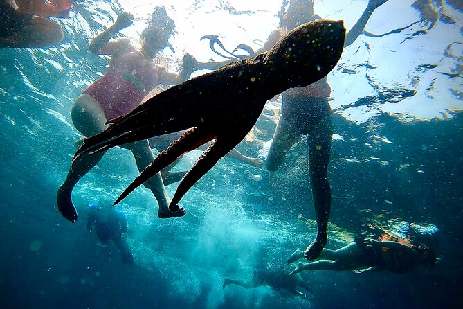 Paddleboard and Snorkeling Experience in Los Arcos - Snorkeling for 30 to 40 minutes