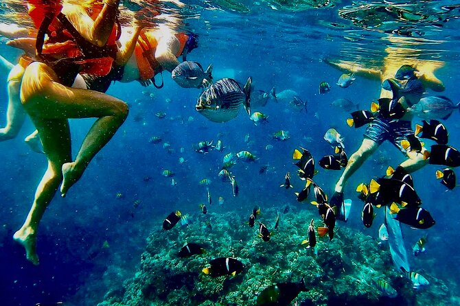 Paddleboard and Snorkeling Experience in Los Arcos - The 20-minute ride from Puerto Vallarta to Mismaloya