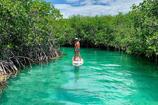 Paddleboard Kayak Tour in Cancun - Photos and videos without carrying a camera