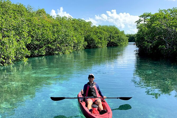 Paddleboard Kayak Tour in Cancun - Value, group size, and what is included