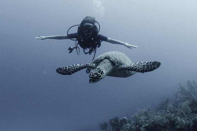PADI Discover Scuba Diving - Shore-Side Theory Before You Touch the Reef