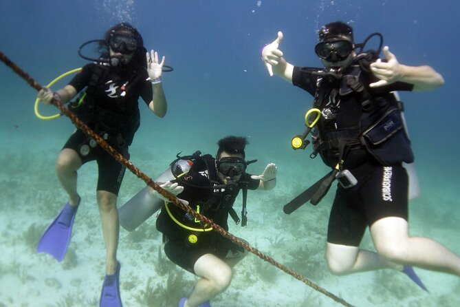PADI Discover Scuba Diving for divers without certification - Why MUSA makes a strong first underwater session