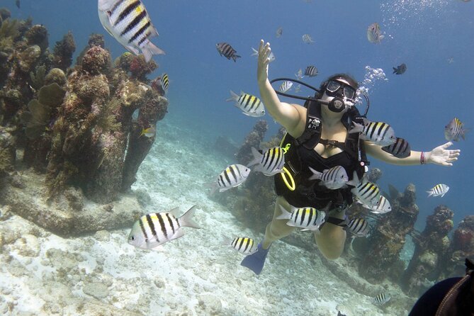 PADI Discover Scuba Diving for divers without certification - A five-hour schedule that fills most of the day