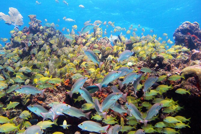 PADI Discover Scuba Diving for divers without certification - Weather, cancellations, and practical planning