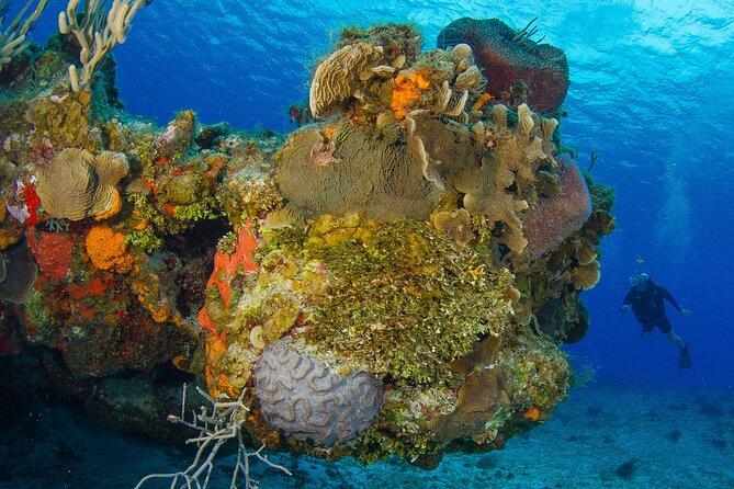 PADI Discover Scuba Diving Program in the Riviera Maya - Is $126 a fair price?