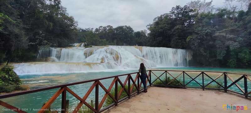 Palenque: Palenque Ruins, Agua Azul Waterfalls and Misol-Ha - Misol-Há and its 50-meter curtain of water