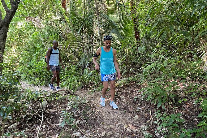Palo María Waterfalls Hike Half-Day Tour - Nature lessons along the way