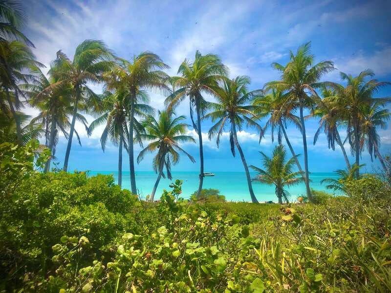 PARADISE ISLAND- ISLA CONTOY AND ISLA MUJERES - Key points to know before booking