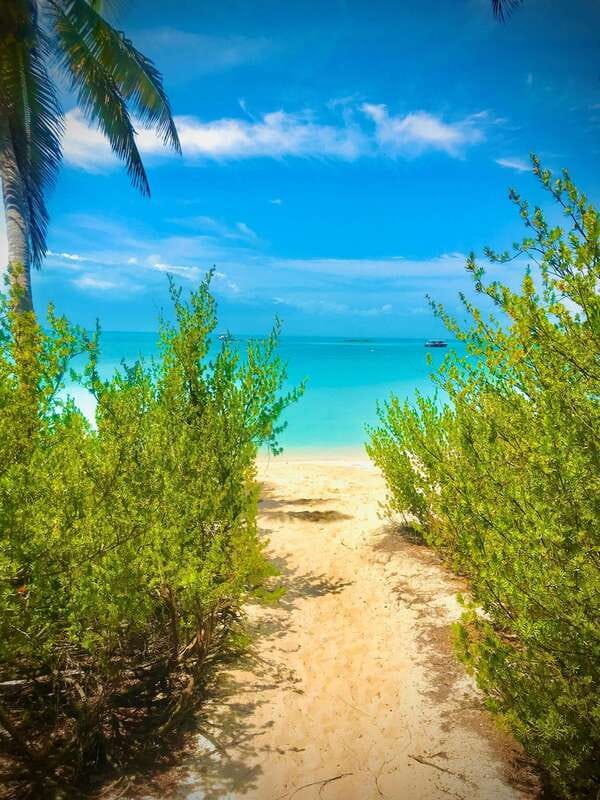 PARADISE ISLAND- ISLA CONTOY AND ISLA MUJERES - My verdict on Isla Contoy and Isla Mujeres
