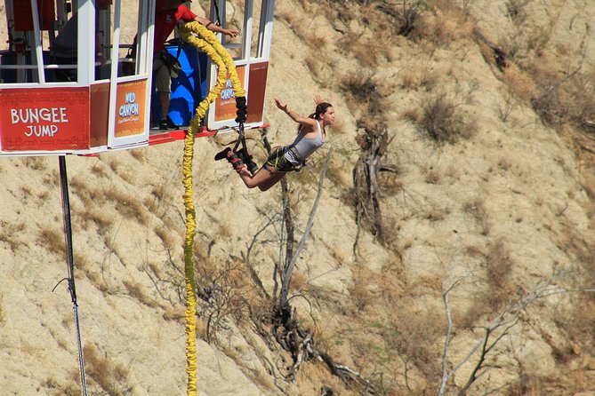 Park Pass at Wild Canyon One Place, Many Adventures - Camel rides and horseback riding