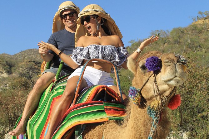 Park Pass at Wild Canyon One Place, Many Adventures - The animal sanctuary and canyon bridge